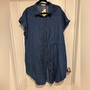 NWT 2XL Chambrey Dress